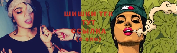 тгк Алексин