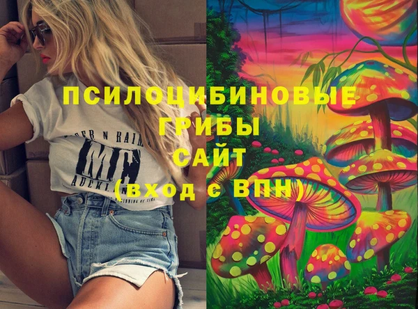 спиды Алзамай