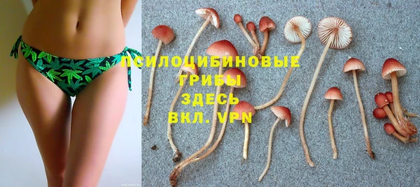 тгк Алексин