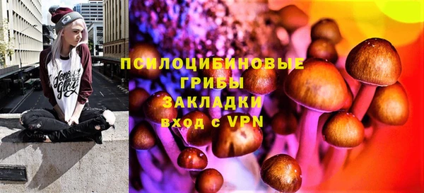 тгк Алексин