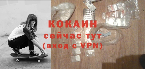 тгк Алексин