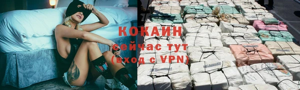 спиды Алзамай