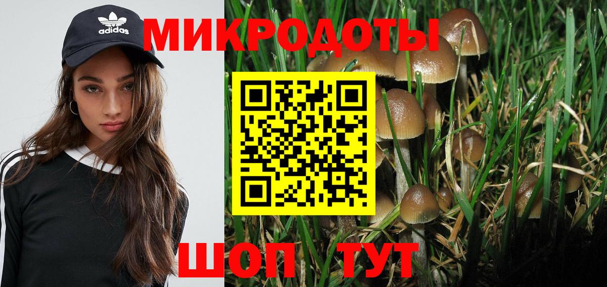 Галлюциногенные грибы MAGIC MUSHROOMS  Псилоцибиновые грибы GOLDEN TEACHER  Вход с VPN  Красногорск 