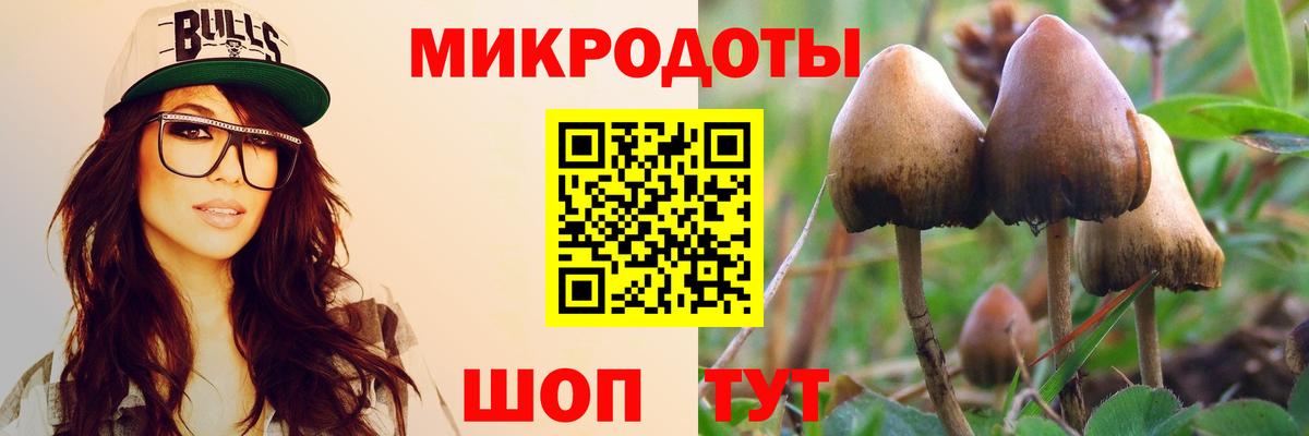 Псилоцибиновые грибы мухоморы Красногорск
